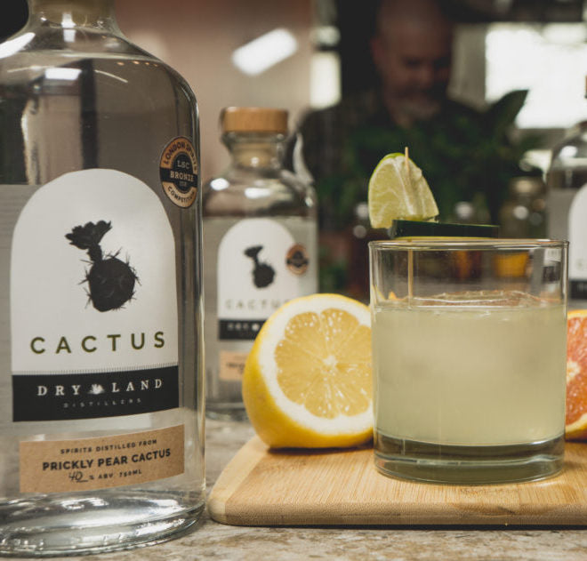 What Makes Dry Land Distillers Cactus Spirit So Special?