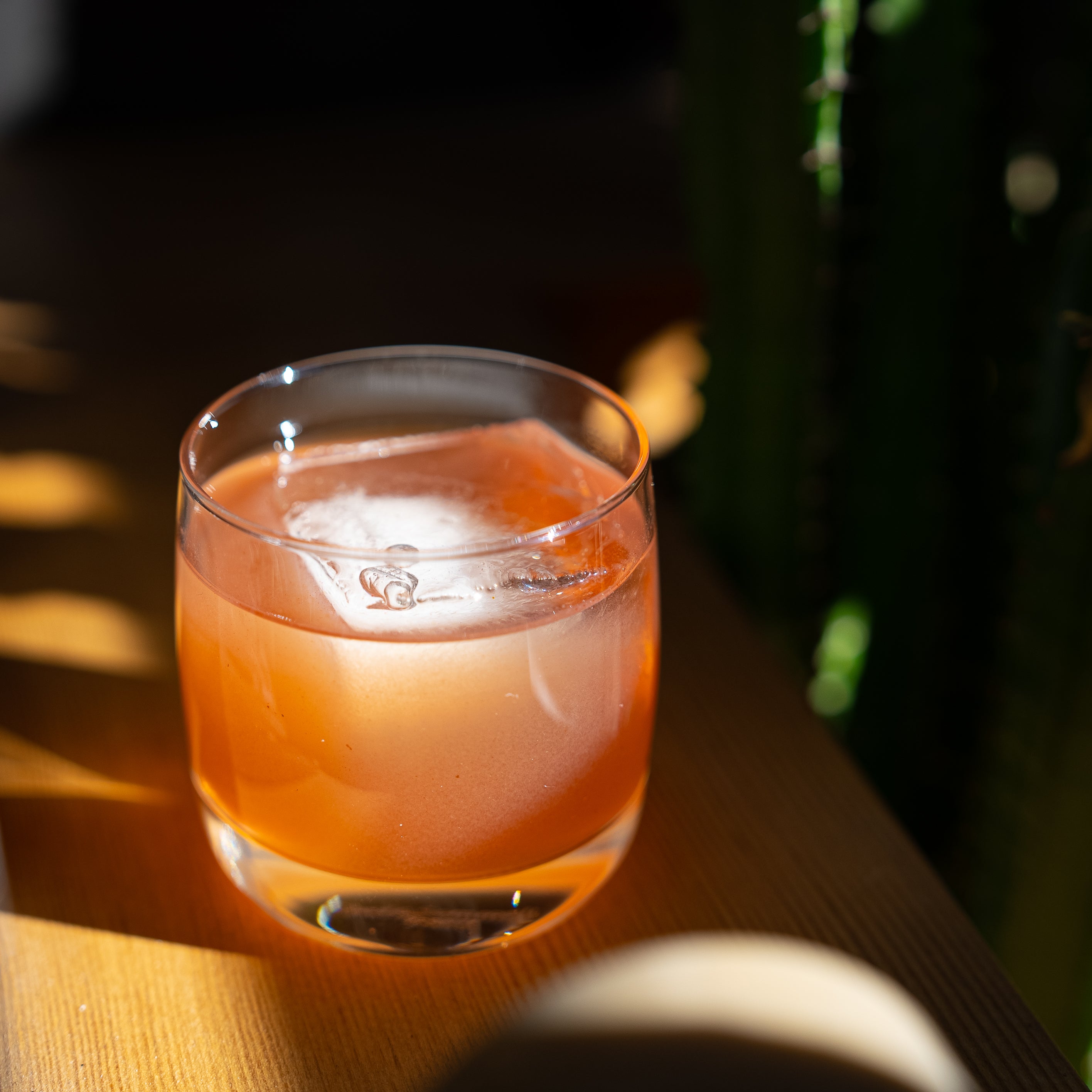 Adobo Cactus Cocktail