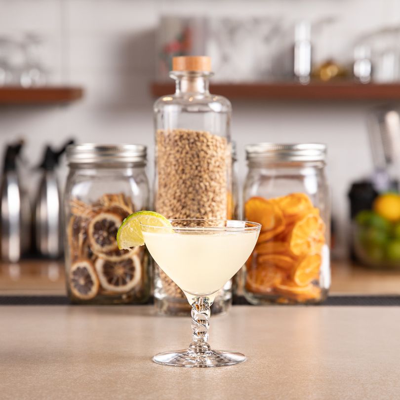 Dry Land Distillers Pegu Cocktail with native Colorado gin, served in coupe glass with lime wedge. Jars of dried citrus and grain in back-drop of the bar.