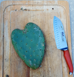 Dry Land Reserve Cactus Añejo (PREORDER FOR NOVEMBER 28th PICKUP)