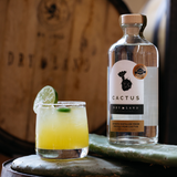 Cactus Spirit