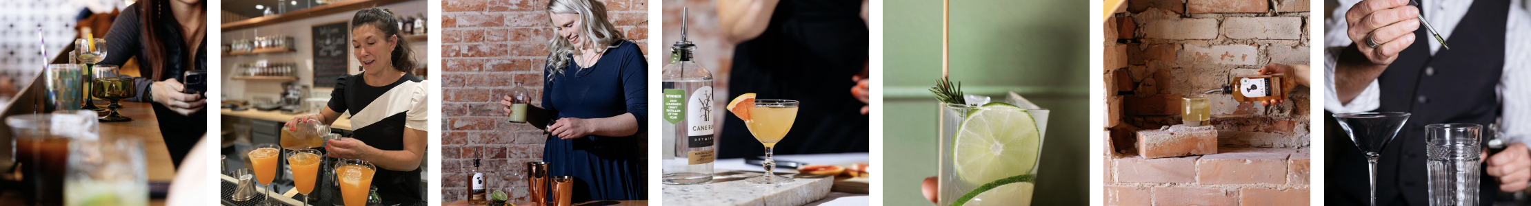 Dry Land Distillers Instagram Photos