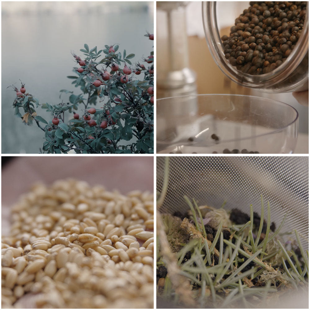 Colorado Antero Wheat, Spruce, and Juniper Berries